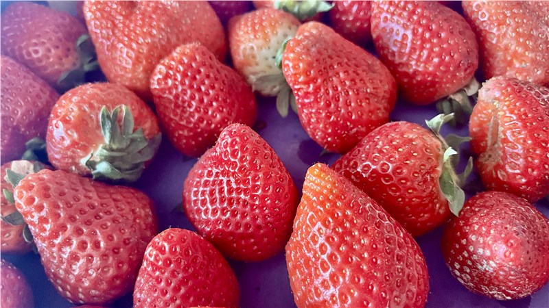 jahody | zdravé ovocie | sladké ovocie