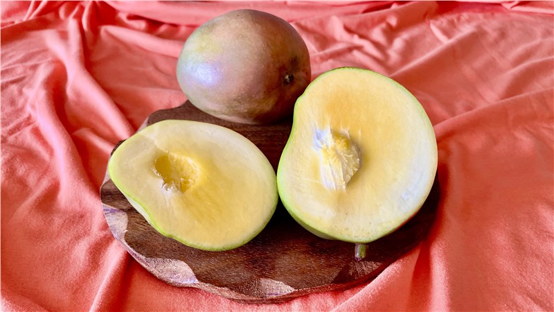 mango | zdravé ovocie